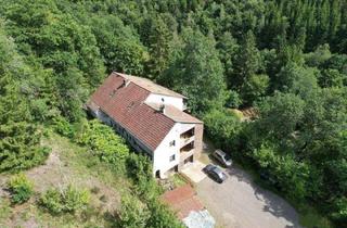 Haus kaufen in 54570 Deudesfeld, Deudesfeld - Exklusives Anwesen in einzigartiger Alleinlage - Naturparadies in der Vulkaneifel