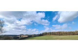 Wohnung kaufen in 59602 Rüthen, Rüthen - Ihr neues Zuhause in der Kernstadt Rüthen