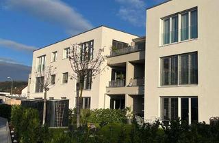 Wohnung mieten in 79585 Steinen, Nur 3 km zum neuen Zentralklinikum Lörrach