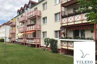 Wohnung mieten in Hauschildstraße, 04703 Leisnig, Dein neu Traumwohnung im Erdgeschoß mit Balkon, ab 01.11.2025 zu vermieten