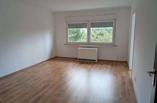 Wohnung mieten in 42651 Solingen-Mitte, 1-Zimmer-Appartement in Solingen.