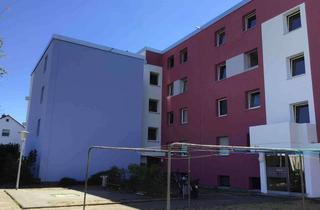 Wohnung mieten in Mühlbergstraße 61, 64319 Pfungstadt, Großzügige 2-Zimmer-Wohnung in Pfungstadt
