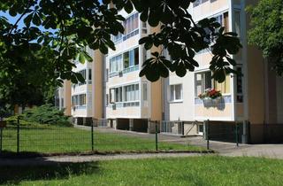 Wohnung mieten in Sonnenweg, 02906 Niesky, WOBAG - "Alles, außer gewöhnlich!" - für kühle Tage, Wohnung mit Wintergarten