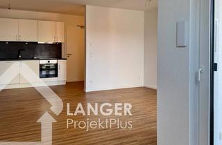 Wohnung mieten in 49740 Haselünne, Top-moderne KfW-40+ 2-Zimmer-Wohnung mit idealer Lage – jetzt mieten