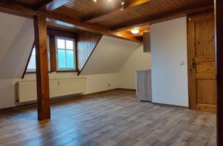 Wohnung mieten in Lange Str. 11, 38828 Wegeleben, 1 großes Zimmer + Bad in 38828 Wegeleben (inkl. Einbauküche)