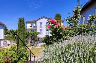 Gewerbeimmobilie mieten in Hauptstr. 21, 67229 Großkarlbach, Vinotel Casa Palatina – stilvolles Gästehaus sucht neuen Pächter ab 1. März 2025