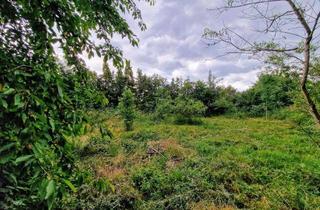 Grundstück zu kaufen in 06188 Landsberg, großes Baugrundstück mit Abrissgebäuden in ruhiger Lage von Landsberg OT Klepzig