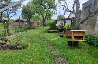 Haus kaufen in 68535 Edingen-Neckarhausen, Wohn- u. Geschäftshs. mit Scheune u. Hinterhaus zum Neckar in Edingen - 60003985