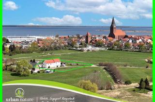 Mehrfamilienhaus kaufen in 18356 Barth, Mehrfamilienhaus mit 4 Wohneinheiten in ruhiger Stadtlage von Barth!