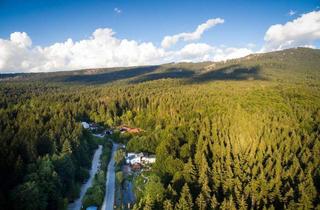 Haus kaufen in 94227 Lindberg, Traumhaftes Anwesen im Zwieseler Waldhaus - großzügig, ruhig & mitten in der Natur