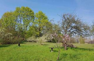 Grundstück zu kaufen in 14542 Werder (Havel), Baugrundstück mit Seeblick