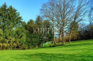 Grundstück zu kaufen in 91301 Forchheim, Idyllisches Hanggrundstück in unverbauter Waldrandlage!