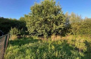 Grundstück zu kaufen in 63526 Erlensee, Im Herzen von Erlensee liegt dieses vielseitig zu bebauende Grundstück