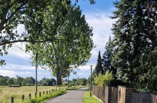 Grundstück zu kaufen in Bamberger Str. 13, 15366 Hoppegarten, Baugrundstück in Hönow - ruhig aber gut angebunden