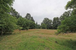 Grundstück zu kaufen in 29451 Dannenberg, Großzügiges Grundstück mit Nähe zu Dannenberg