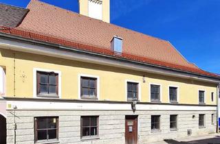 Gewerbeimmobilie kaufen in 87719 Mindelheim, Bezauberndes, denkmalgeschütztes Haus im Herzen von Mindelheim