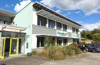 Büro zu mieten in 65582 Diez, Gepflegte Bürofläche im Gewerbegebiet von Diez – sofort verfügbar