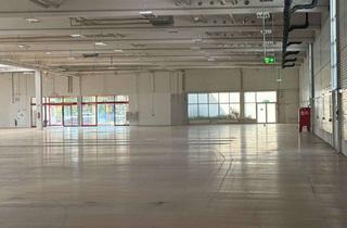 Geschäftslokal mieten in 95100 Selb, Attraktive, barrierefreie Verkaufs-/Ladenfläche in Selb (Baumarkt mit Gartencenter bereits vorhanden