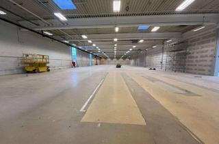 Geschäftslokal mieten in 95100 Selb, Attraktive, barrierefreie Verkaufs-/Ladenfläche in Selb (Baumarkt mit Gartencenter bereits vorhanden