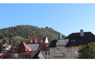 Wohnung kaufen in Herzog-Julius-Straße 52B, 38667 Bad Harzburg, Komplett renovierte, bezugsfertige Wohnung in Zentrumsnähe mit toller Aussicht