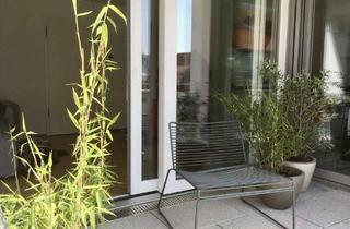 Wohnung mieten in 70839 Gerlingen, Sonnendurchflutete 2 Zimmer Nichtraucher-Single-Wohung