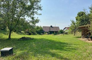 Haus kaufen in 79295 Sulzburg, Großes Anwesen in der deutschen Toskana im Markgräflerland Land