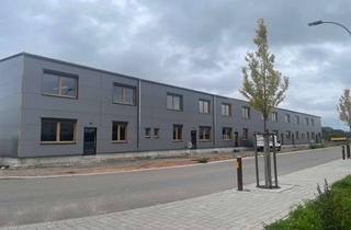 Büro zu mieten in 76829 Landau, Repräsentative Halle mit klimatisierten Büros (370 m2, Neubau in Holz) mit eigener 16 kWp PV-Anlage