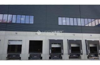 Gewerbeimmobilie mieten in 15834 Rangsdorf, Logistikfläche für Lager und Produktion im Berliner Süden