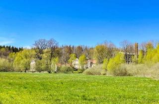 Gewerbeimmobilie kaufen in 01877 Bischofswerda, Früher eine der größten Buntpapierfabriken Europas - morgen Teil von SiliconSaxony!
