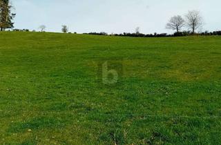 Grundstück zu kaufen in 54597 Burbach, BAUEN AUF ERWEITERBARER FLÄCHE