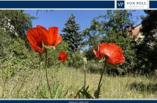 Grundstück zu kaufen in Oberseeplatz, 13053 Alt-Hohenschönhausen, Sonniges Grundstück in begehrter Lage nahe Obersee - Platz für Ihre Wohnträume