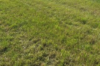 Gewerbeimmobilie kaufen in 85253 Erdweg, Grünland -ca. 1 ha- in Gemeinde Erdweg