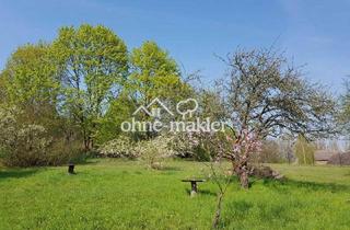 Immobilie kaufen in 14542 Werder (Havel), Baugrundstück mit Seeblick