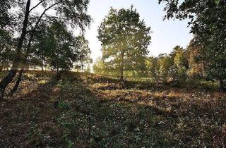 Wohnung kaufen in Ullersdorfer Hauptstraße 26, 01454 Radeberg, Radeberg - 6 Zimmer-Etagenwohnung mit Balkon, Terrasse, Garten, 2 Bädern u.v.m.!! Nahe Dresdner Heide