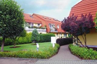 Wohnung kaufen in 04683 Naunhof, Naunhof - 4-Zimmer Maisonette-Wohnung mit Balkon in Köhra