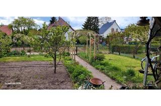 Haus kaufen in 17207 Röbel, Röbel/Müritz - Garten zu verkaufen