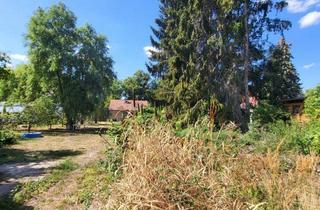 Grundstück zu kaufen in 14612 Falkensee, Großes Baugrundstück für Träume mit Potential – teilbar, ruhig, vielseitig bebaubar