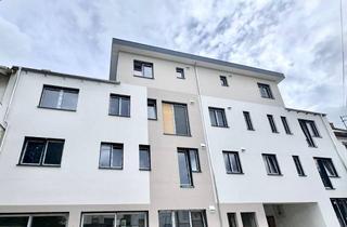 Penthouse mieten in 65934 Nied, Neue, exklusive Penthouse-Wohnung mit großer Terrasse FFM