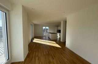 Penthouse mieten in Pfaffstraße 21, 67655 Innenstadt, Neuwertige Penthouse-Wohnung mit Einbauküche, Balkon und Terrasse : 3 Zimmer in Kaiserslautern