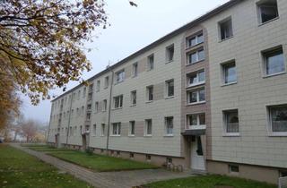 Wohnung mieten in Greifswalder Chaussee 31, 17509 Rubenow, Wohnung in ländlicher Idylle