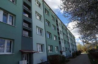 Wohnung mieten in Fünfeichen, 17033 Stadtgebiet West, Wir renovieren - 1 Zimmer Wohnung in Fünfeichen 1