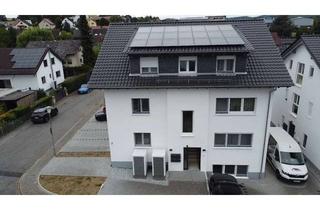 Wohnung mieten in 64668 Rimbach, Exklusive 3 Zimmer Wohnung, EBK, Terrasse, Erstbezug