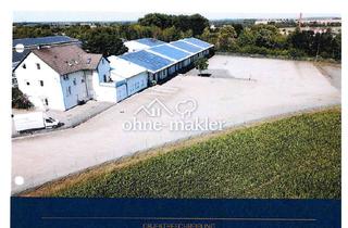 Büro zu mieten in 06679 Hohenmölsen, Büro mit Wohnungen und Kaltlagerhallen