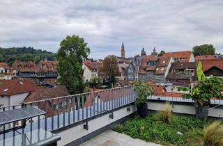 Penthouse mieten in Am Schloßberg 10/1, 69469 Weinheim, Lichtdurchflutete Penthouse-Wohnung mit Dachterrasse im Herzen Weinheims