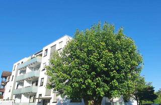Wohnung mieten in 63150 Heusenstamm, HEUSENSTAMM: ACHTUNG SINGLES !! Saniertes (01.2026) 1 Zi.Apartm. m. Balkon u. EBK