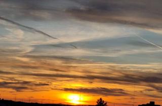 Wohnung mieten in 69226 Nußloch, Viel Platz mit toller Aussicht – ruhige Vier-Zimmer-Wohnung