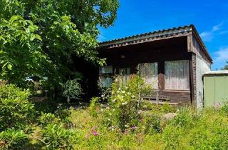 Haus kaufen in 01561 Ebersbach, Der Stadt entfliehen