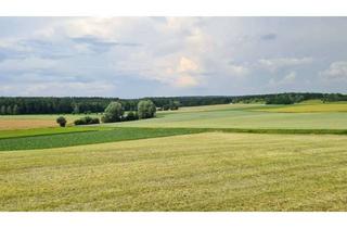 Doppelhaushälfte kaufen in 85134 Stammham, Wunderschöne Doppelhaushälfte in Top-Lage in Appertshofen