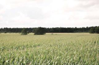 Haus kaufen in 24848 Kropp, Exklusives Haus mit Sauna und Einliegerwohnung in ruhiger Lage ZWISCHEN DEN MEEREN!