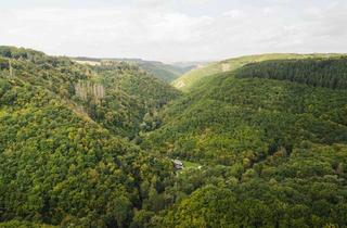 Haus kaufen in 56283 Beulich, *** Ein besonderes Schmuckstück mit vielseitigen Nutzungsmöglichkeiten in Traumlage! ***